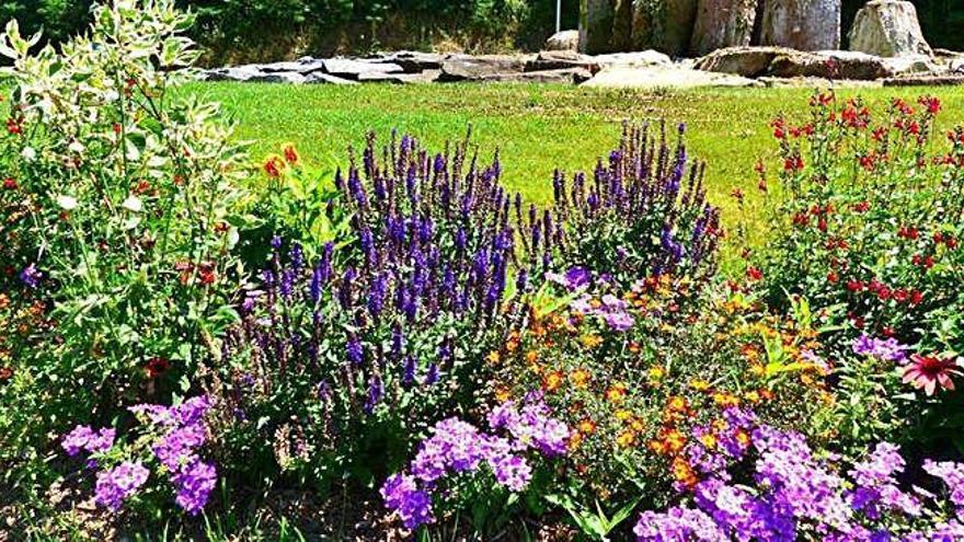 Cap a una jardineria més compromesa amb l&#039;entorn