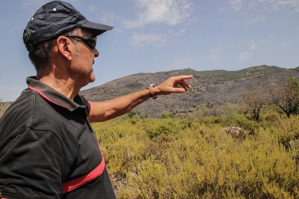 Incendio en la Vall de Gallinera