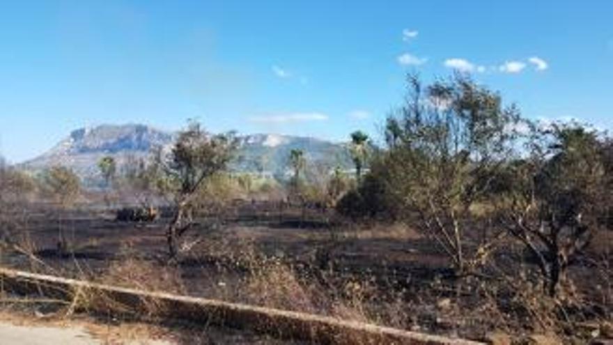 Vuelven los vecinos de la urbanización desalojados por el incendio de Dénia