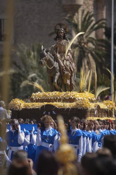 Domingo de Ramos en Elche