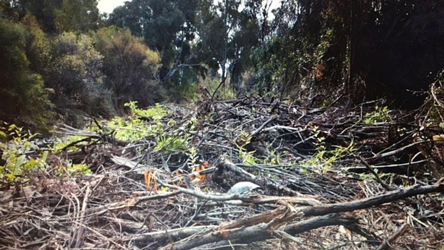 Broza acumulada en el cauce del río Guadaiza en una imagen difundida por OSP. | L. O.