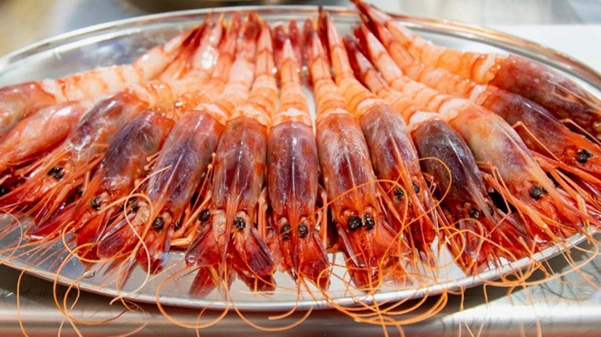 Gambas rojas de Dénia.
