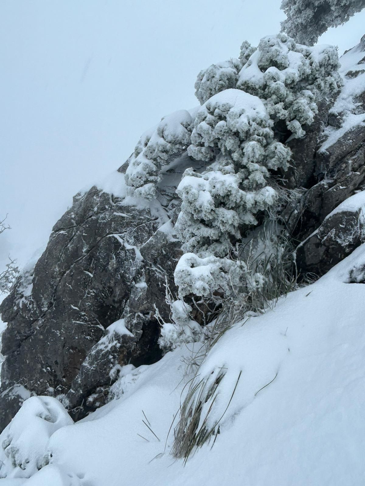 Ski-Fahren auf Mallorca - ein seltenes Abenteuer in der Tramuntana