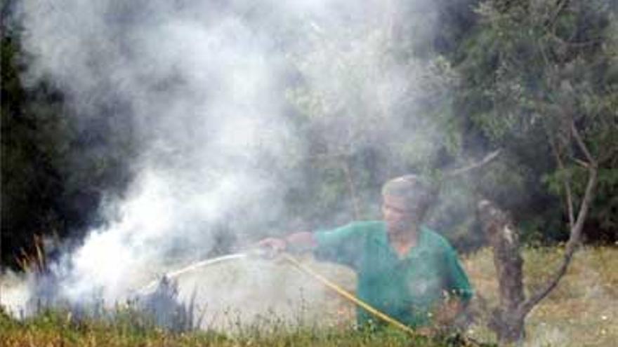 Arde un pastizal a las puertas del parque del Príncipe