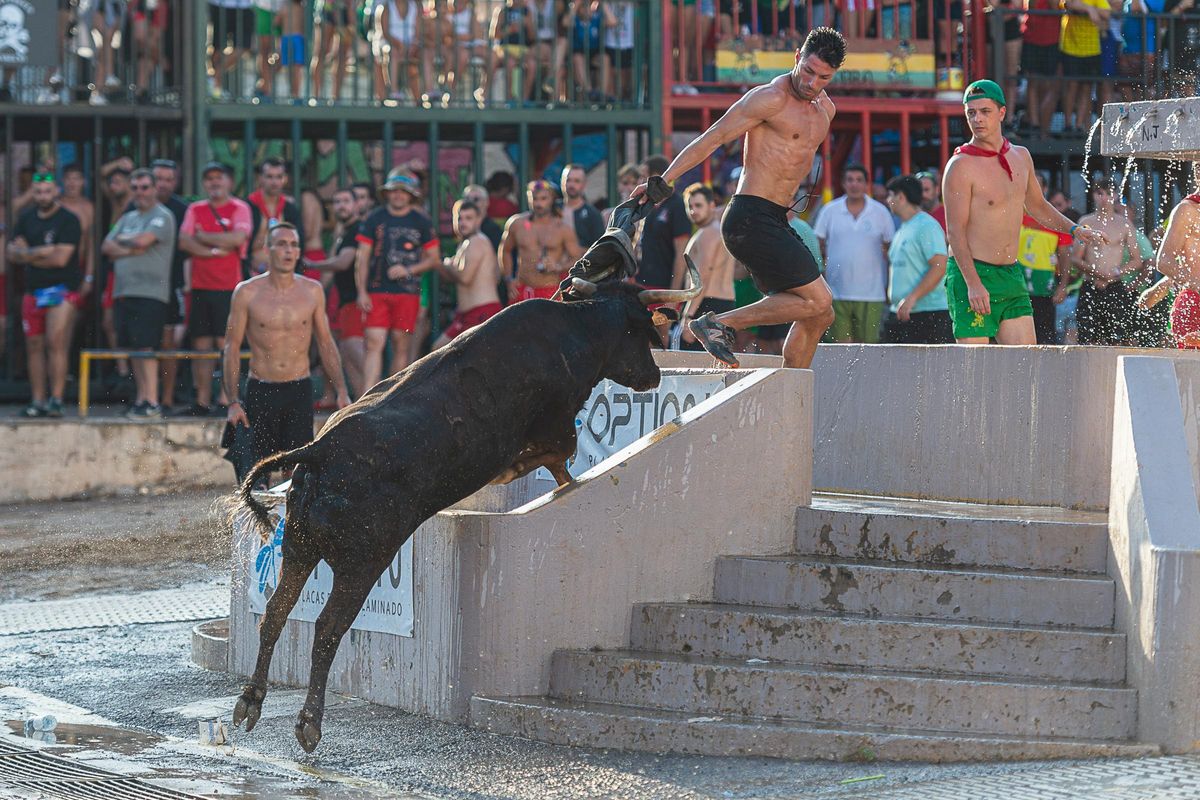 Para el jurado del concurso de les Penyes lo más importante es exhibir bravura.
