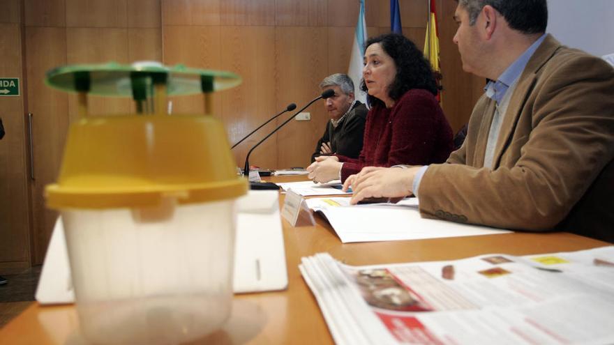 La directora xeral de Gandería tras reunirse con los alcaldes de los municipios afectados por la plaga de patata