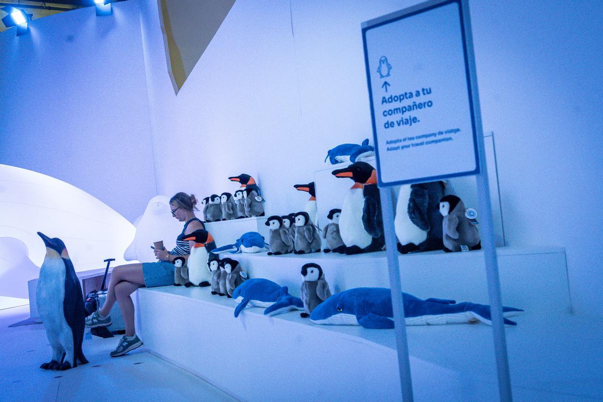 Llega Antarctica Experience,  exposición inmersiva en la Cúpula Arenas