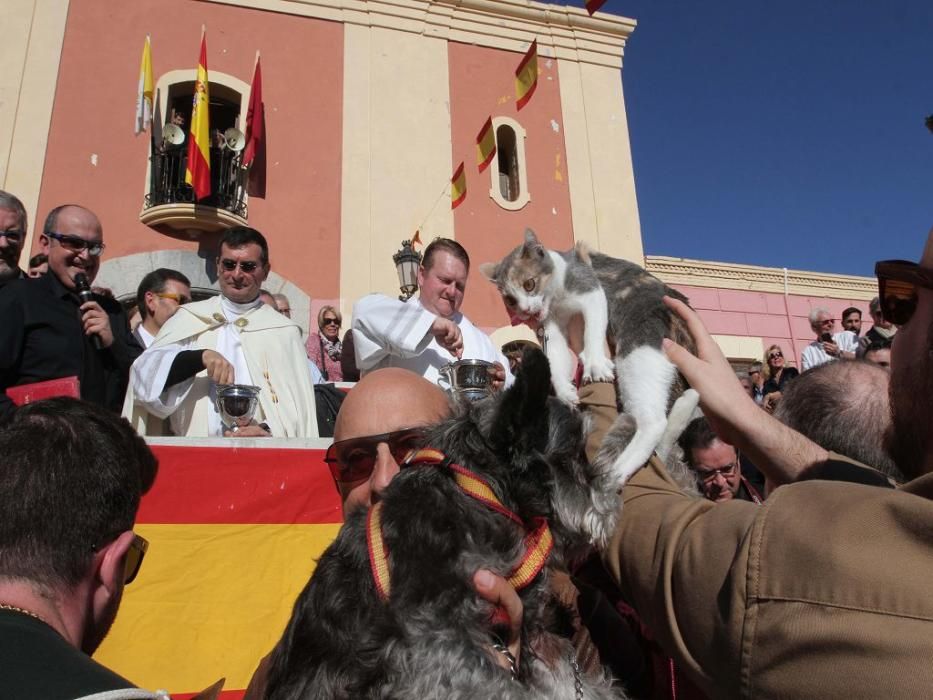 Los vecinos de Cartagena se han acercado junto a sus mascotas a recibir la bendición