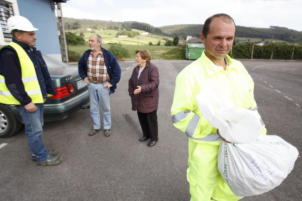 Recogida de patatas en Monteana