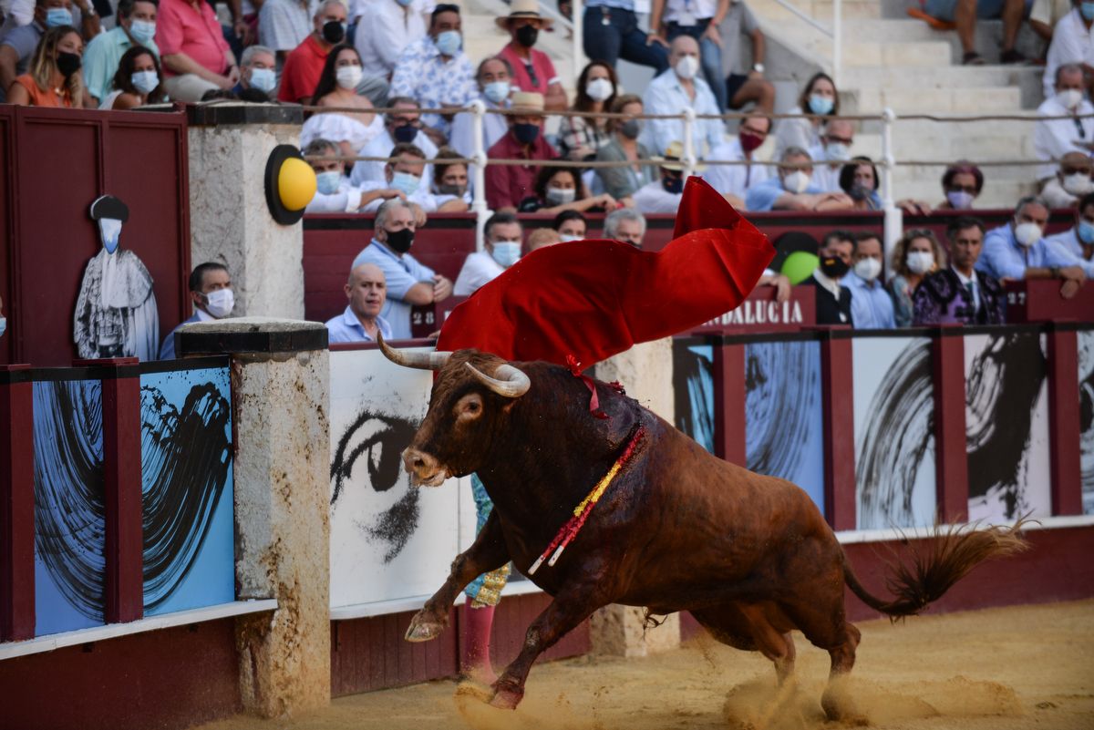 Los toros vuelven a La Malagueta