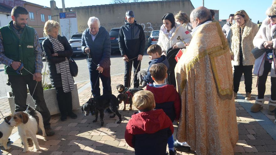 GALERÍA | La bendición de los animales en Santa Cristina, en imágenes