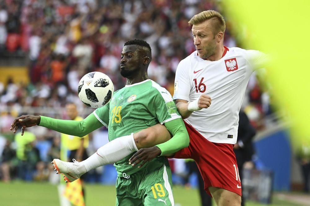 Polonia-Senegal