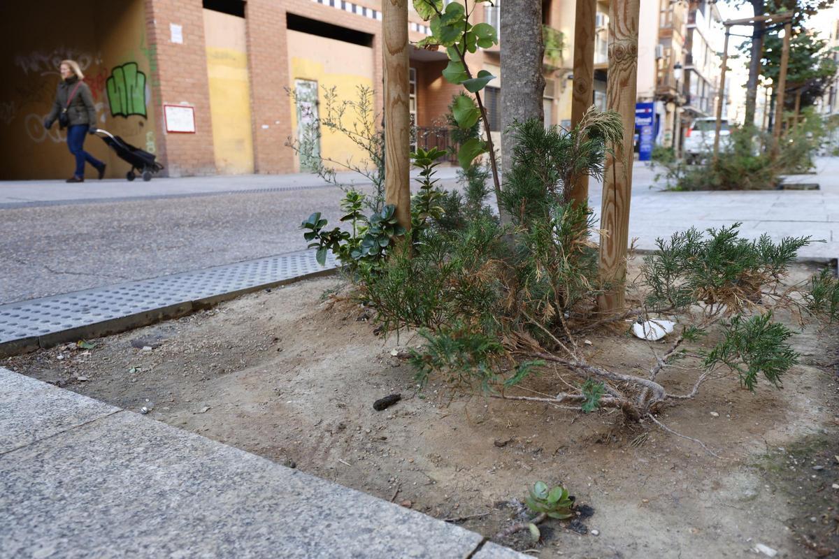 Este es el estado actual de la calle Predicadores de Zaragoza