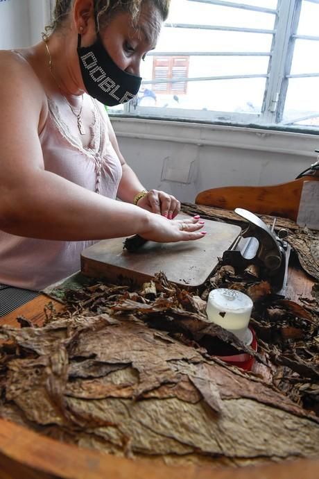 27-08-20  LAS PALMAS DE GRAN CANARIA. SCHAMANN. LAS PALMAS DE GRAN CANARIA.  Reportaje al único taller de puros artesanos que hay en la capital. El taller se llama Doble M y lo lleva Mercedes Martínez, ella es cubana y trae las hojas de tabaco desde la isla caribeña, todo lo hace a mano.  Fotos: Juan Castro.  | 27/08/2020 | Fotógrafo: Juan Carlos Castro