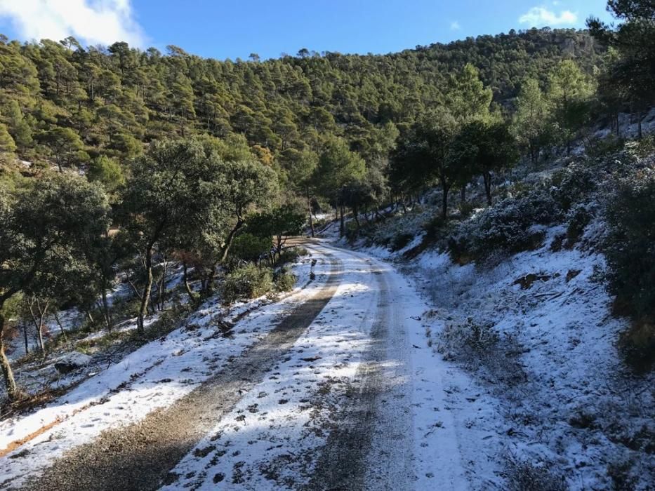 Ligera capa de nieve también en Sierra Salinas