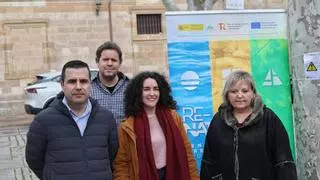 Más de 500 alcorques vacíos de la ciudad pasarán a tener vegetación