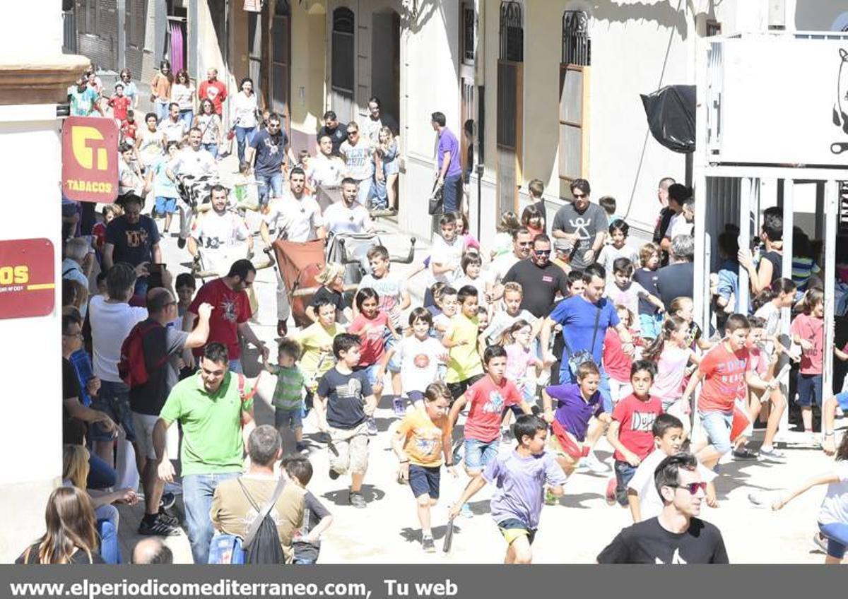GALERÍA DE FOTOS -- Jornada dominical de Santa Quitèria en Almassora