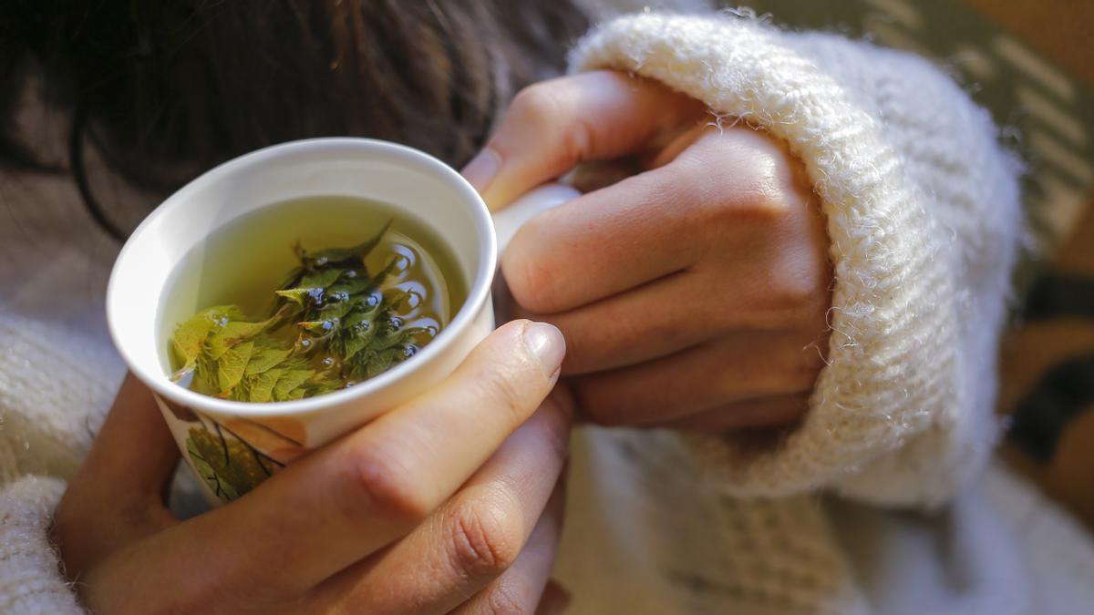 El té de hinojo de Mercadona es perfecto para reducir barriga y acabar con los gases