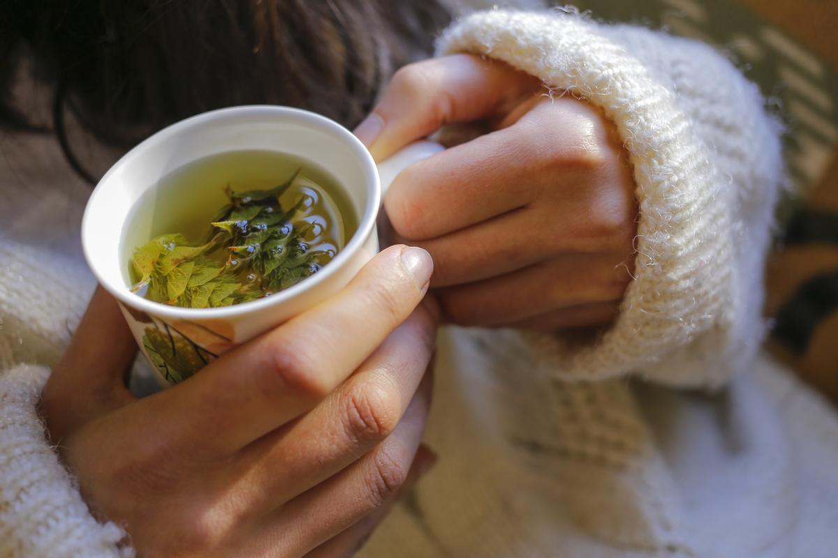 El té de hinojo de Mercadona es perfecto para reducir barriga y acabar con los gases