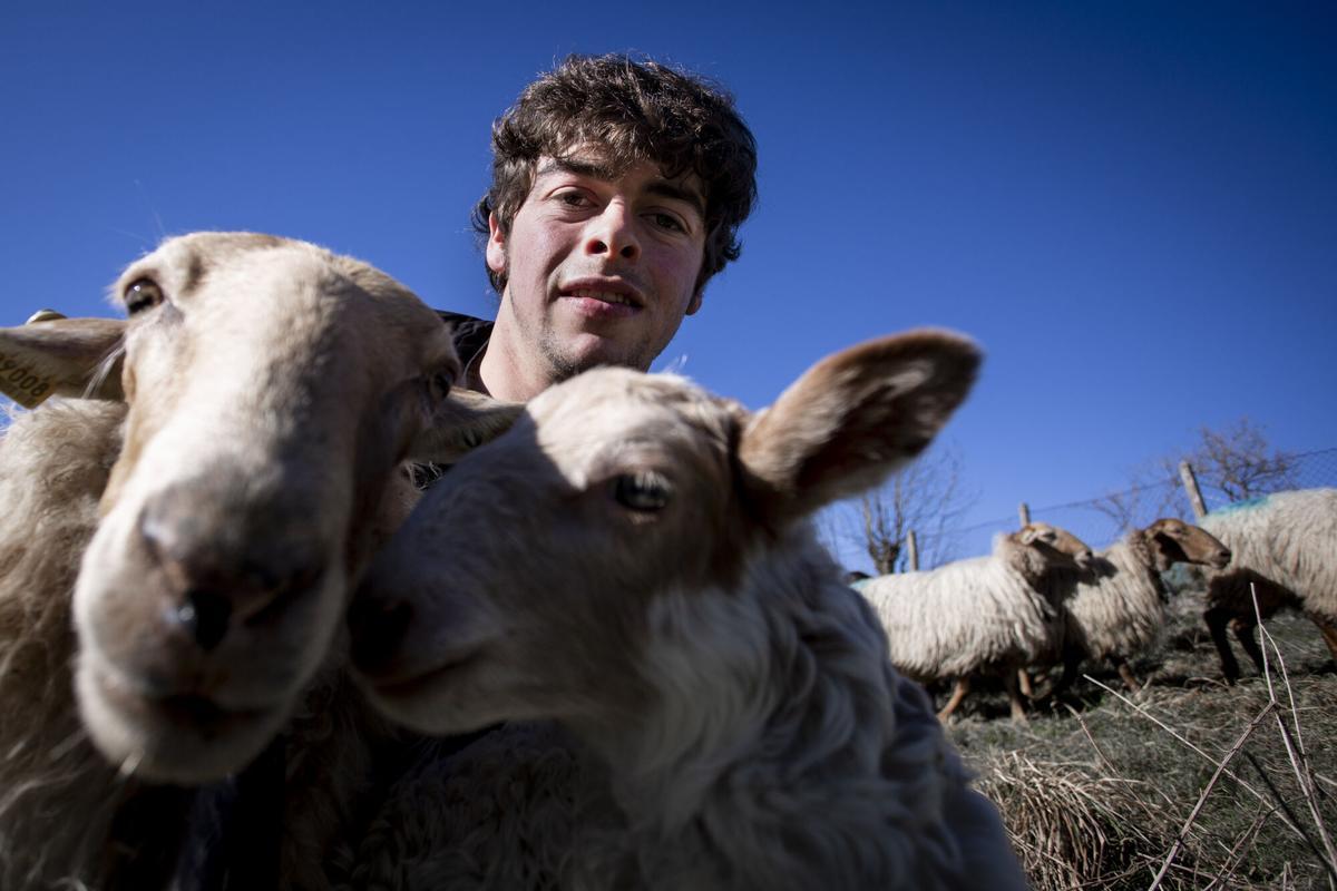 JOSE LUIS ALONSO, PASTOR MAS JOVEN DE LOS PICOS DE EUROPA, JUNTO A SU REBAÑO DE OVEJAS EN GAMONEU DE CANGAS. SERIE "ASTURIANOS. RETRATO COLECTIVO DE LA REGION"