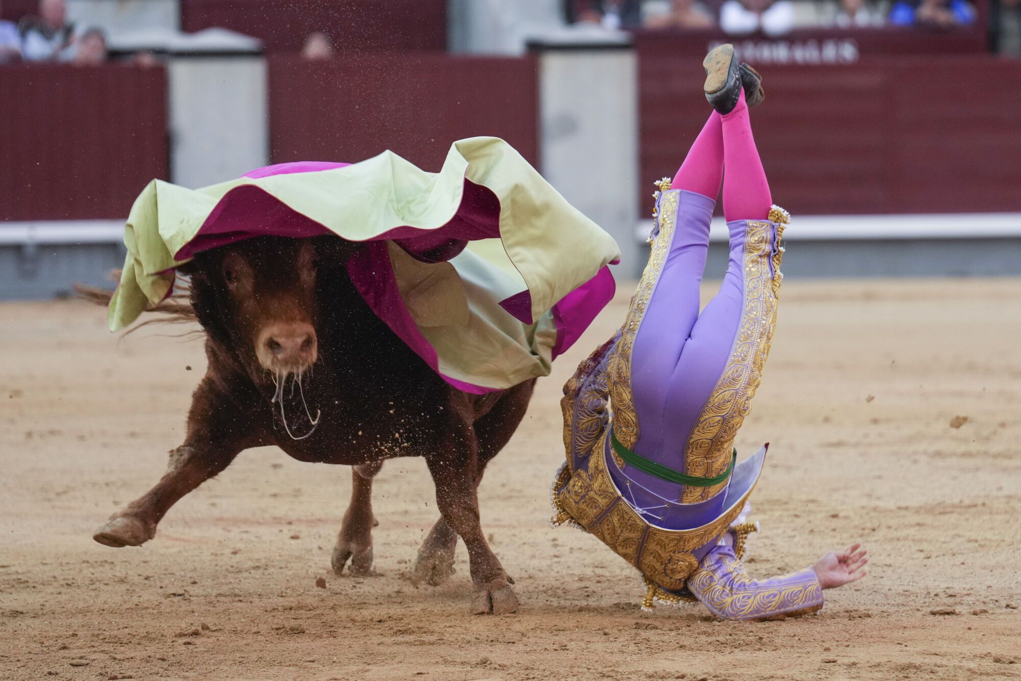MADRID, 12/10/2025.- El diestro Morante de la Puebla recibe una cogida en el festejo taurino de la Feria de Otoño celebrado este domingo en la plaza de Las Ventas, en Madrid. EFE/ Borja Sánchez-Trillo