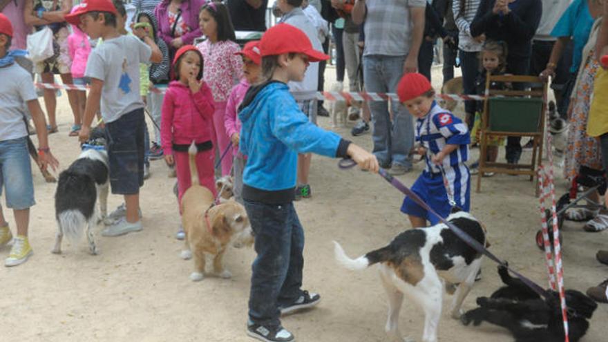 Actividad para niños con perros, en Santa Margarita. / V.Echave