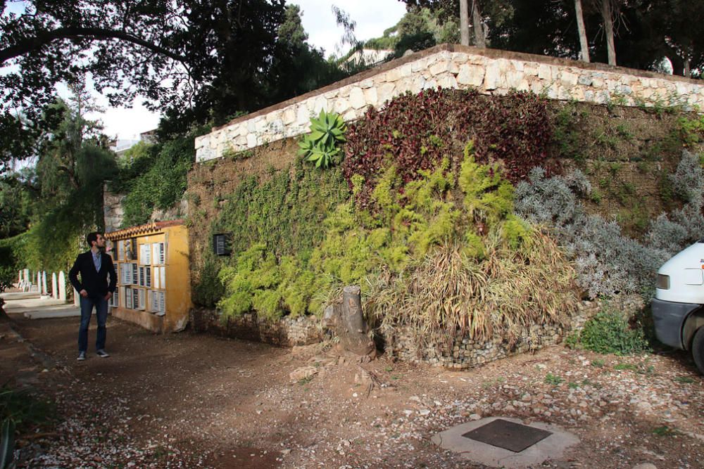 El gerente Guillermo Madueño, delante del jardín vertical del Cementerio Inglés, la zona más renovada de este Bien de Interés Cultural. El jardín vertical albergará columbarios y se completará con un jardín al uso al lado para columbarios en tierra.