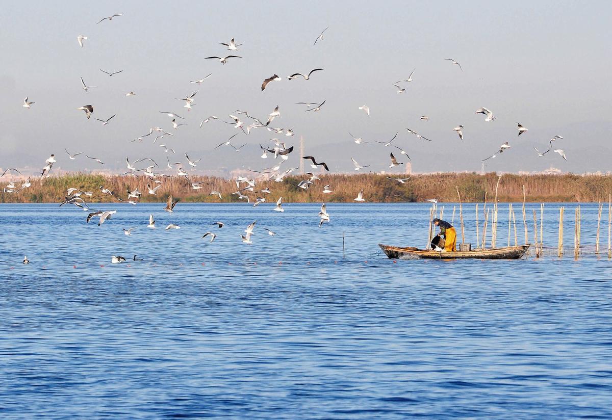 11/11/2022 Pesca tradicional en la Albufera de Valencia POLITICA SEO/BIRDLIFE