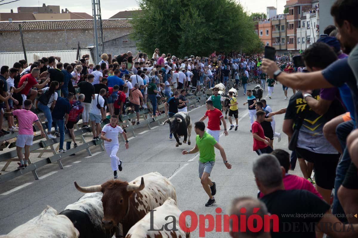 Primer encierro de la Feria del Arroz de Calasparra