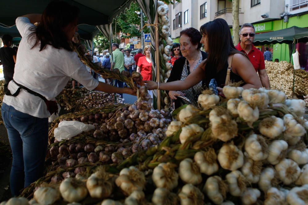 San Pedro 2016: Feria del Ajo