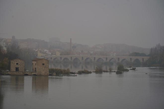GALERÍA | La niebla, la reina de Zamora
