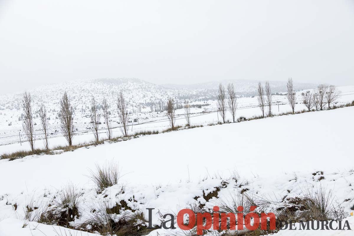 La comarca del Noroeste ofrece una estampa invernal