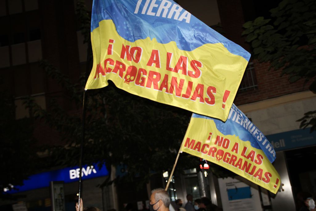 Manifestación por el Mar Menor en Murcia