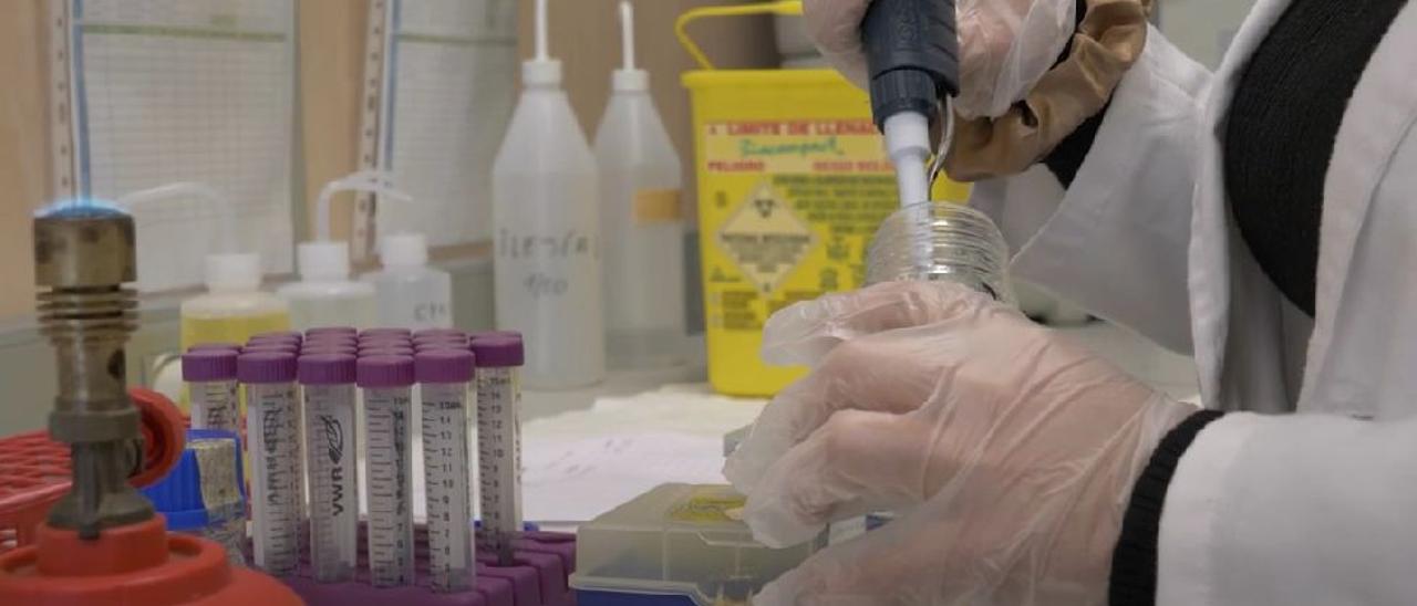 Laboratorio de la empresa de la UMH que lanzará unos geles para evitar las infecciones de orina