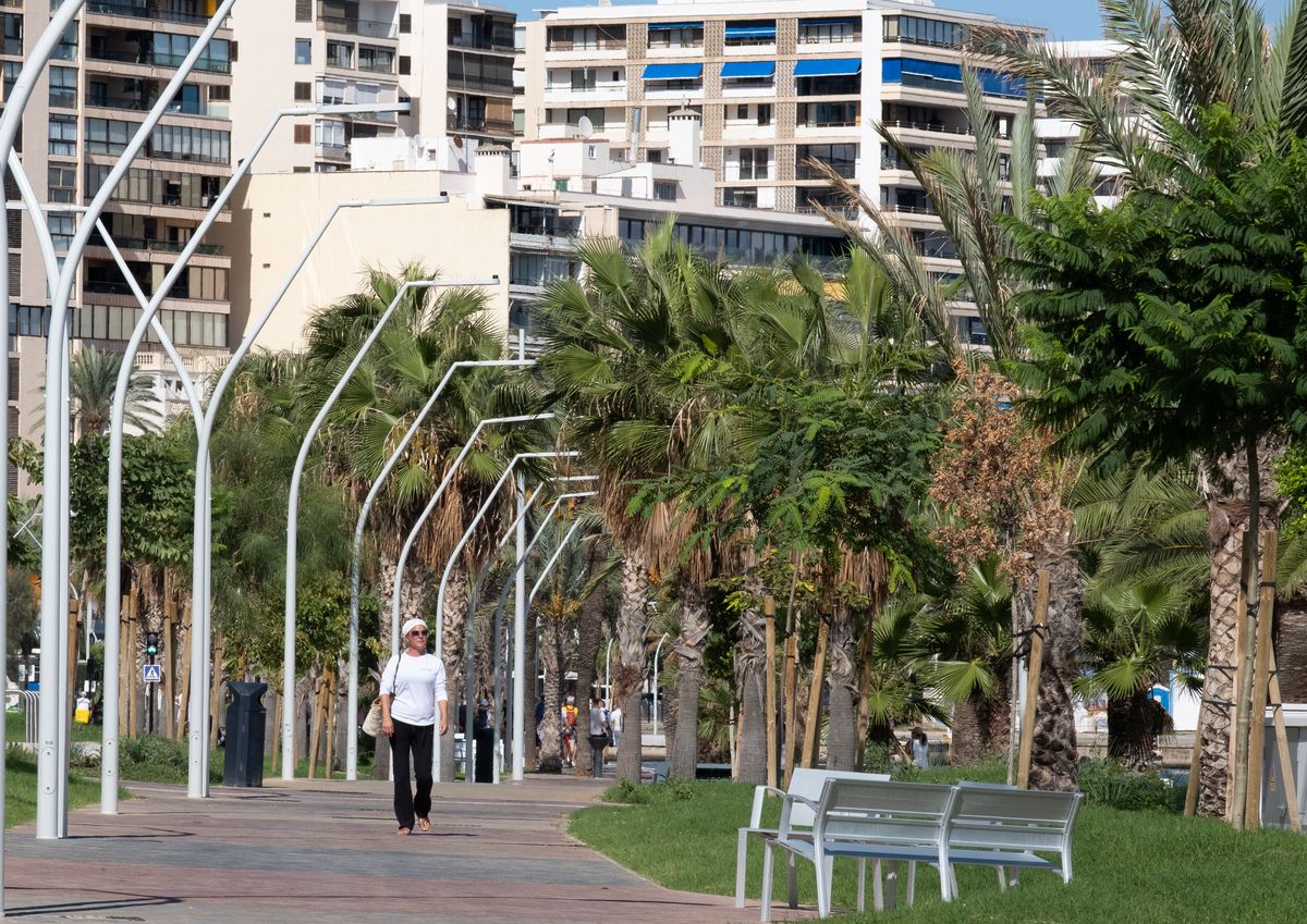 Las fotos del nuevo jardín interior del Paseo Marítimo de Palma