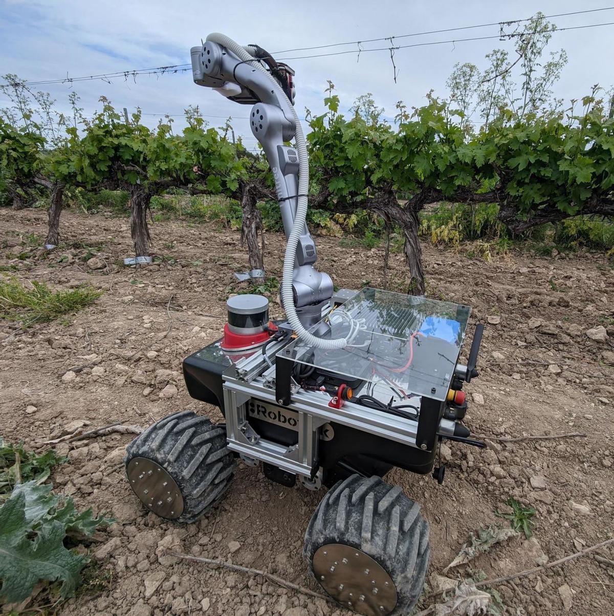 Robots que es mouen entre vinyes