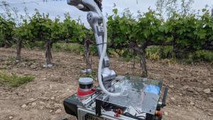 Robots que es mouen entre vinyes