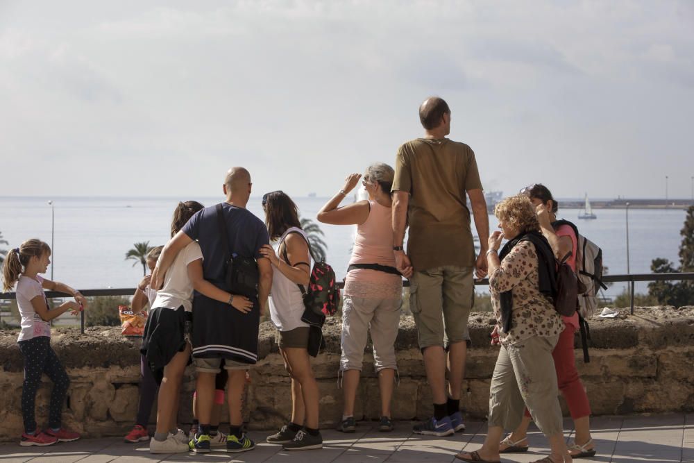 7 cruceros y más de 20.000 personas han llegado este martes a Palma