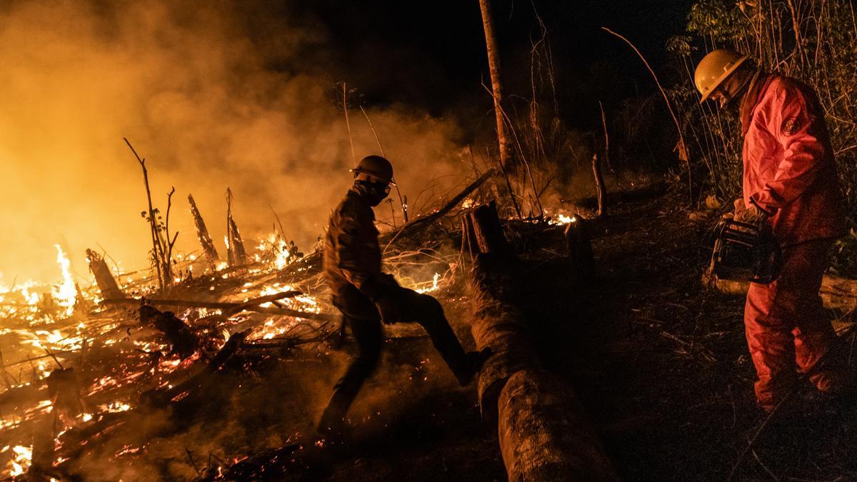 Los incendios forestales en Brasil destruyeron un área del tamaño de Uruguay en 2023