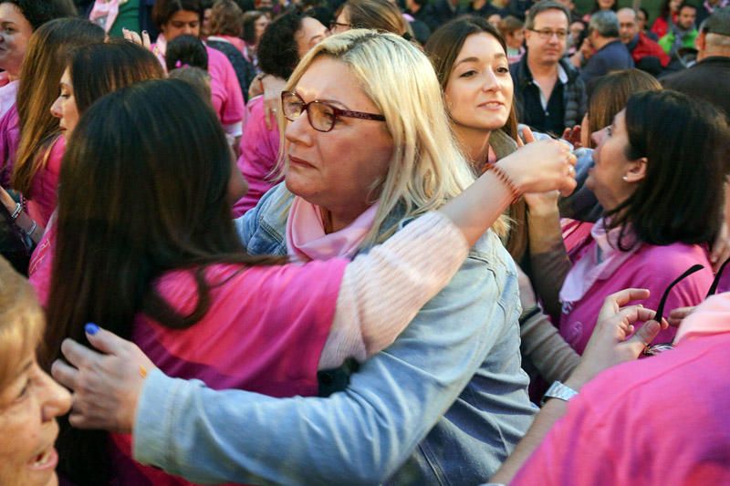 Plantà al tombe de la falla Palleter-Erudito de Orellana