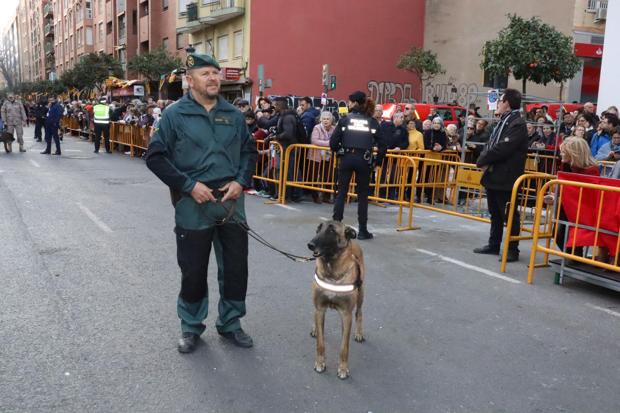 Perros policía y animales de granja completan el desfile de Sant Antoni en València