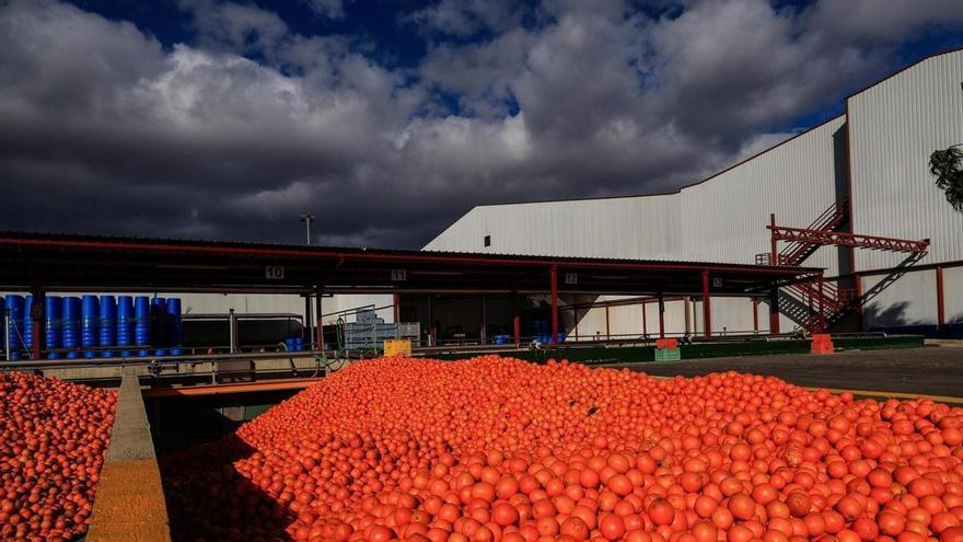 Un ciberataque paraliza durante dos días al gigante valenciano de los zumos