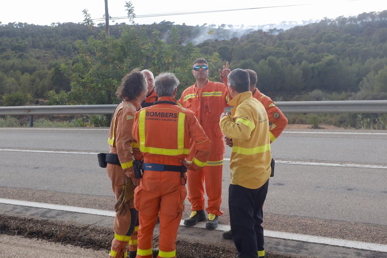 Incendio forestal en el Navajo Oscuro en Llíria