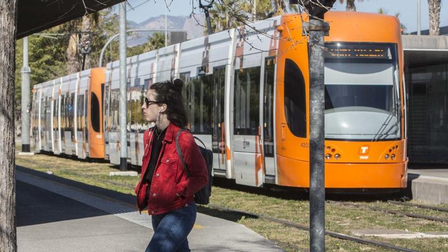 El TRAM en la Universidad de Alicante, en imagen de archivo.