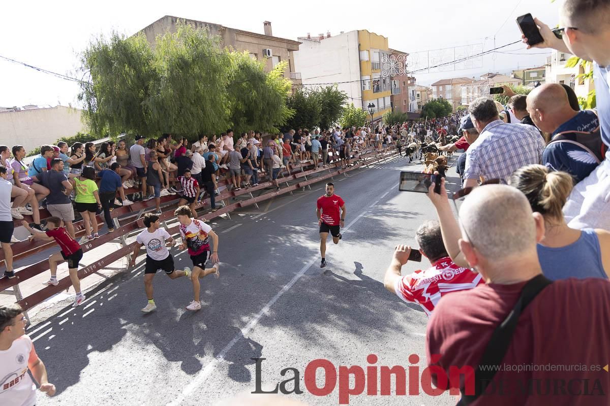Primer encierro de las Fiestas de Moratalla