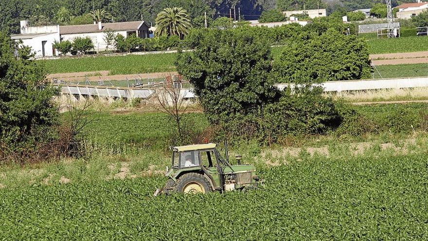 La Junta autoriza ayudas de la nueva PAC por valor de 643 millones de euros