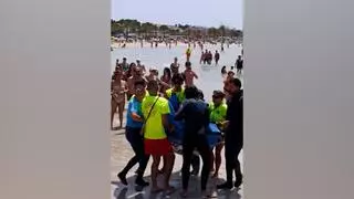 Mantarrayas en Mallorca: Expertos admiten que "esta avalancha de varamientos en las playas no es normal", aunque el motivo sigue siendo un enigma