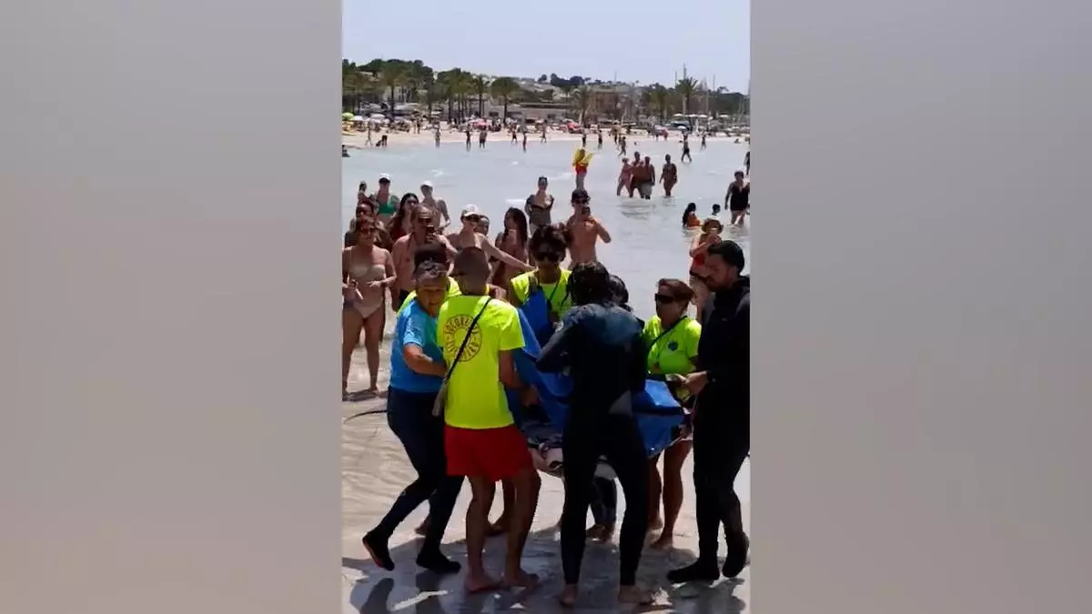 Mantarrayas en Mallorca: Expertos admiten que "esta avalancha de varamientos en las playas no es normal", aunque el motivo sigue siendo un enigma