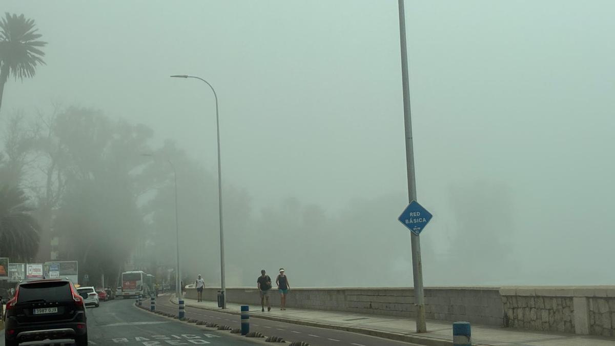 La taró ha cubierto Málaga este sábado