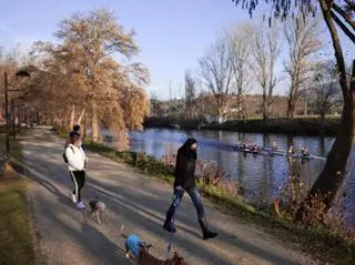 Mejoras en La Isla, El Cachón y el monte Valcorchero, por los parques eólicos